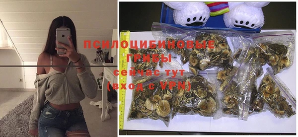 MESCALINE Арсеньев